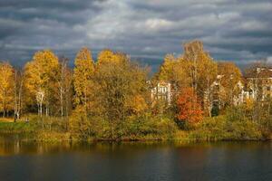 schön sonnig Herbst Küsten Landschaft auf das See. ein Reich Villa hinter golden Herbst Bäume. foto