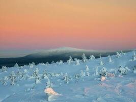 schneebedeckt Polar- Kegel Hügel im Winter früh im das Rosa Himmel beim das Morgen. Winter Polaris Landschaft. Aussicht von das schneebedeckt Tundra und Hügel. kalt Winter Wetter. hart Nord Klima. foto