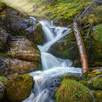 Kaskaden von ein Wasserfall im ein Grün Berg Wald. Natur Hintergrund von turbulent fallen Wasser Strom auf nass Felsen. foto