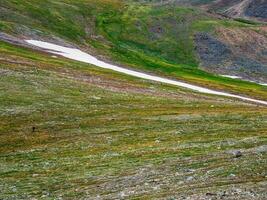 minimalistisch alpin Landschaft mit hoch Grün Berg Senke im Sonnenlicht. szenisch Berg Landschaft mit veränderbar Wetter im Hochland. Sonnenlicht und Schatten. Textur von das alpin Grün Neigung. foto