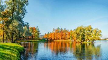 hell Herbst Landschaft mit Zustand Museum Reservieren Gatschina. sonnig Panorama- Herbst Aussicht von das Park, Blau See und großartig Palast im das Ufer. foto