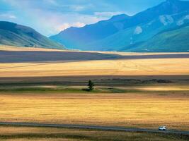 eng Feld Straße mit einsam Bewegung Auto führen durch ein dramatisch herbstlich Senke beim das Fuß von das schneebedeckt Berg Spitzen. Kuraiskaja Steppe, Altai, Sibirien, Russland. foto