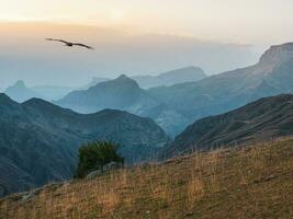 atmosphärisch Landschaft mit Silhouetten von Berge auf Hintergrund von Rosa Dämmerung Himmel. Adler fliegt Über ein Berg Schlucht. Sonnenuntergang im verblasst Töne. foto
