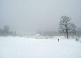 Weiß schneebedeckt Landschaft mit alt maltesisch Palast im schön natürlich Landschaft. foto