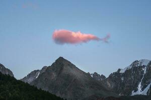 groß Rosa Wolke mögen ein Wal schwimmt über das Abend Himmel Über das Berge. foto