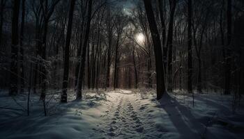 still Winter Wald mit mysteriös nächtlich Schönheit generiert durch ai foto