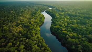 Drohne erfasst still Schönheit von ländlich Landschaft generiert durch ai foto