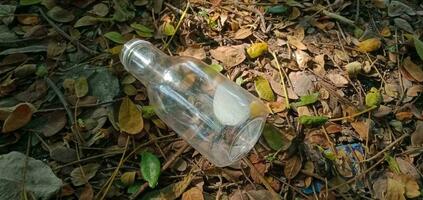 leeren Flasche auf ein Stapel von trocken Blätter foto