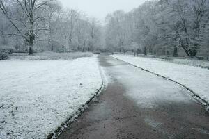 Winter Straße im das Park foto