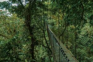 hängend Brücke, monteverde Wolke Wald, Costa Rica foto