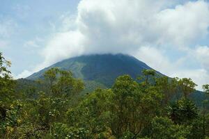 ein üppig Garten im la Glück, Costa Rica mit arenal Vulkan im das Hintergrund foto