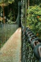 hängend Brücke, monteverde Wolke Wald, Costa Rica foto