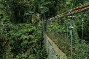hängend Brücke, monteverde Wolke Wald, Costa Rica foto