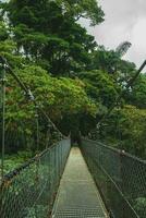 hängend Brücke, monteverde Wolke Wald, Costa Rica foto