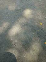 Foto von ein Fußboden gemacht von Zement mit ein Schatten von ein schattig Baum während das Tag