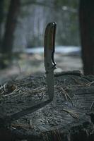 falten Messer zum Überleben ist stecken im Stumpf gesägt Baum gegen Hintergrund Kiefer Wald. foto