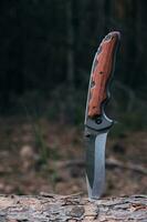 Taktisches Messer zum Überleben und zum Schutz unter schwierigen Bedingungen, die im Wald im Stammbaum stecken. foto