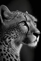 schwarz und Weiß Foto von ein Gepard. generativ ai.