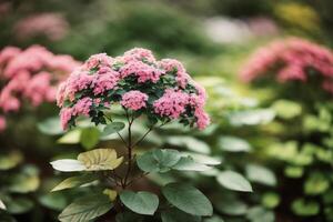 Abbildung von beschwingt Sträucher und Blumen im ein Garten . ai generiert. foto