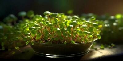 Microgreens Pflanze Superfood, Kopieren Raum verschwommen Hintergrund, generativ ai foto