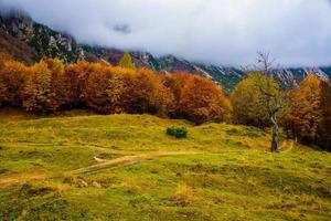 Wolken und Laub eins foto