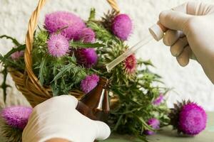 Hände mit Distel wesentlich Öle zum Alternative medizinisch verwenden foto