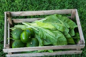 hölzern Box mit Gemüse, Mangold, Zucchini und Garten Chicoree foto