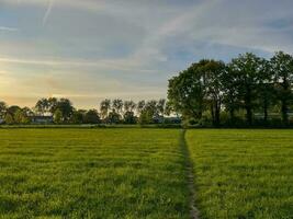 atemberaubend locken von ein golden Sonnenuntergang Über üppig Gras Felder, ein malerisch Szene Das weckt Ruhe und natürlich Schönheit foto