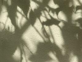 Blätter Schatten Hintergrund auf Beton Mauer Textur, Blätter Baum Geäst Schatten mit Sonnenlicht foto