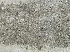 alt Beton walll Textur foto