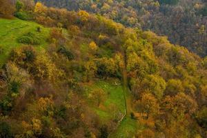 Waldwiesen und Hügel im Herbst