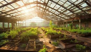 frisch organisch Gemüse gewachsen drinnen im ein modern Gewächshaus Fabrik generiert durch ai foto