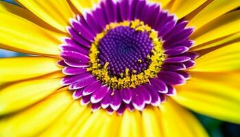 beschwingt Gerbera Gänseblümchen im ein formal Garten, umgeben durch Grün generiert durch ai foto