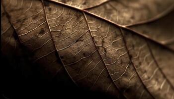 organisch Blatt Vene Muster im beschwingt Herbst Farben, von hinten beleuchtet Schönheit generiert durch ai foto