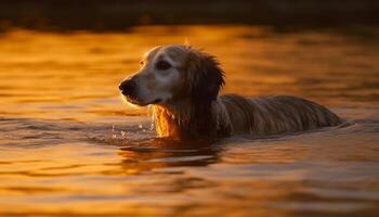 entspannend Sommer- Spaß mit nass pelzig freunde spielen im Wasser generiert durch ai foto