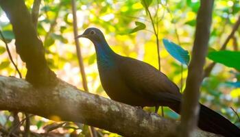 hell gefiedert Vogel sich niederlassen auf Zweig, Schönheit im Natur Farben generiert durch ai foto