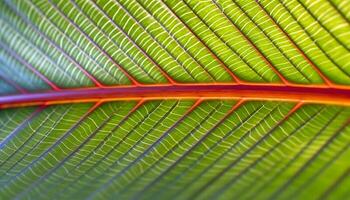 beschwingt Grün Blatt Muster auf Palme Baum, symbolisieren Frische generiert durch ai foto