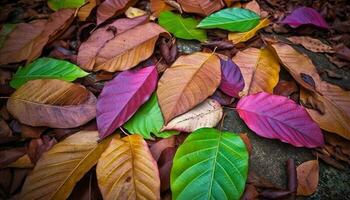 beschwingt Herbst Wald mit multi farbig Blätter fallen auf Boden generiert durch ai foto