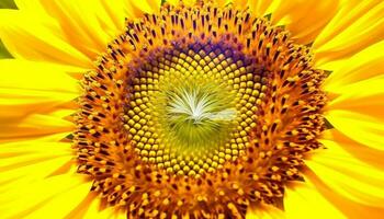 beschwingt Sonnenblume Blüte, schließen oben Makro von Gelb Blütenblatt und Samen generiert durch ai foto