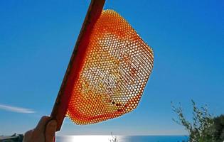 Bienenstock mit Hintergrundbeleuchtung foto