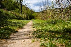 202144 Montemezzo-Weg im Grünen foto