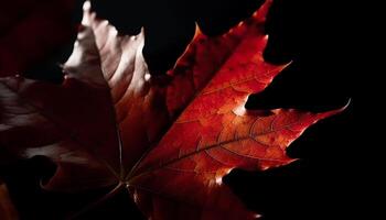 beschwingt Herbst Ahorn Blatt, Schönheit im Natur generiert durch ai foto