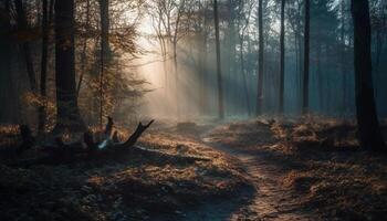 mysteriös Wald, gespenstisch Schönheit im Natur Ruhe generiert durch ai foto