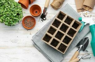 Gartenarbeit Konzept, Pflanzen beim Zuhause foto