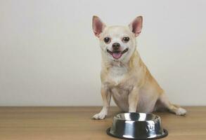 hungrig Chihuahua Hund Sitzung auf hölzern Fußboden mit leeren Hund Essen Schüssel, suchen beim Kamera, lächelnd und fragen zum Lebensmittel. foto