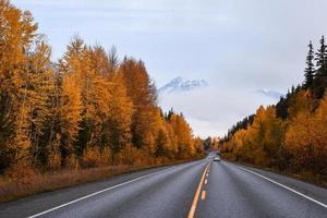 Straße zwischen Herbstbäumen foto