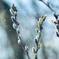 Schnee auf den Platten in der Wintersaison foto