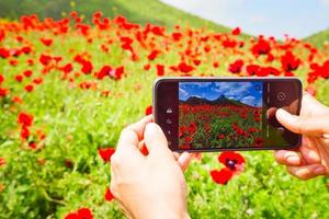 Nahaufnahme von Händen, die ein Smartphone mit Blumen auf Anzeige im Freien halten foto