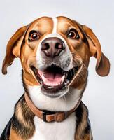ai generiert Foto von ein Beagle Hündchen im ein glücklich Stimmung