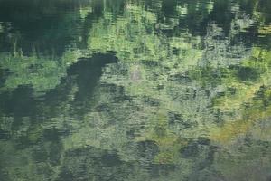 grüne und schwarze abstrakte Reflexion foto